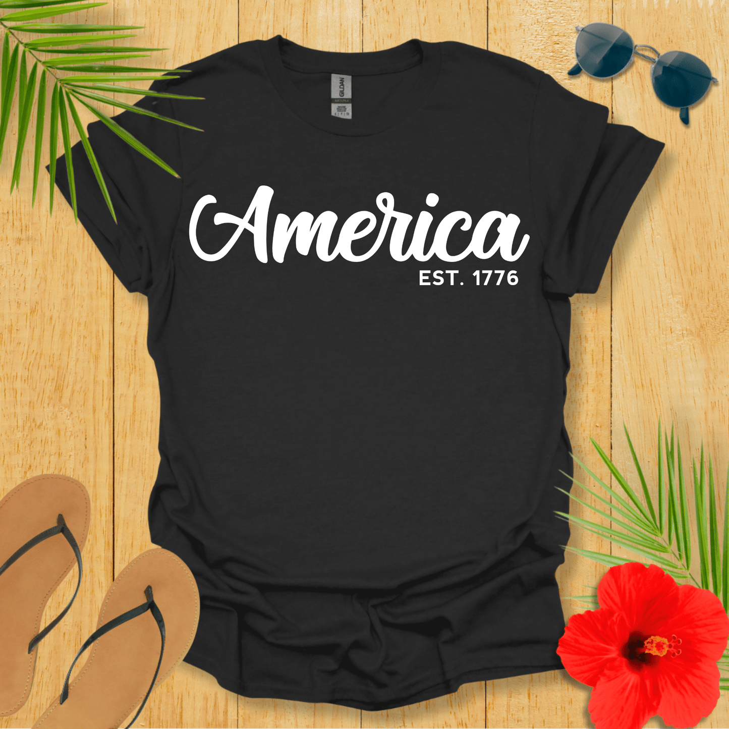 America 1776 T-Shirt