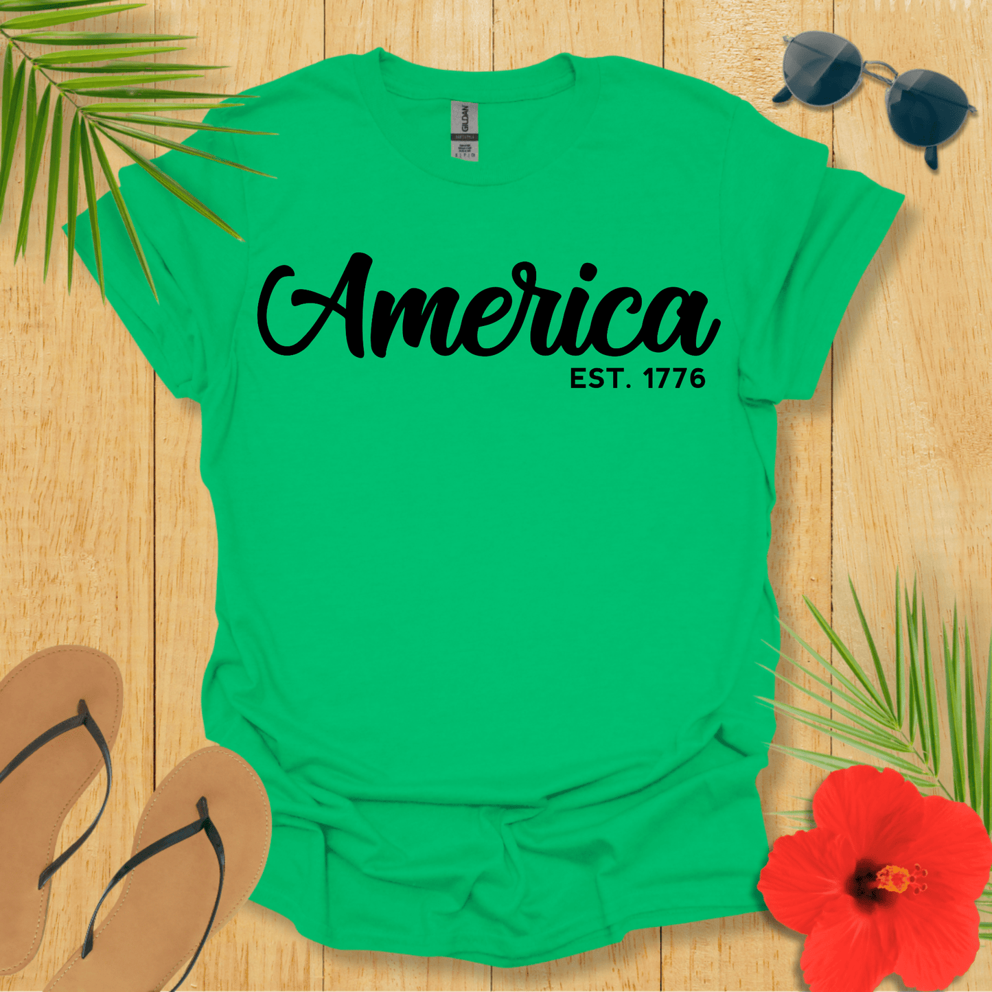 America 1776 T-Shirt