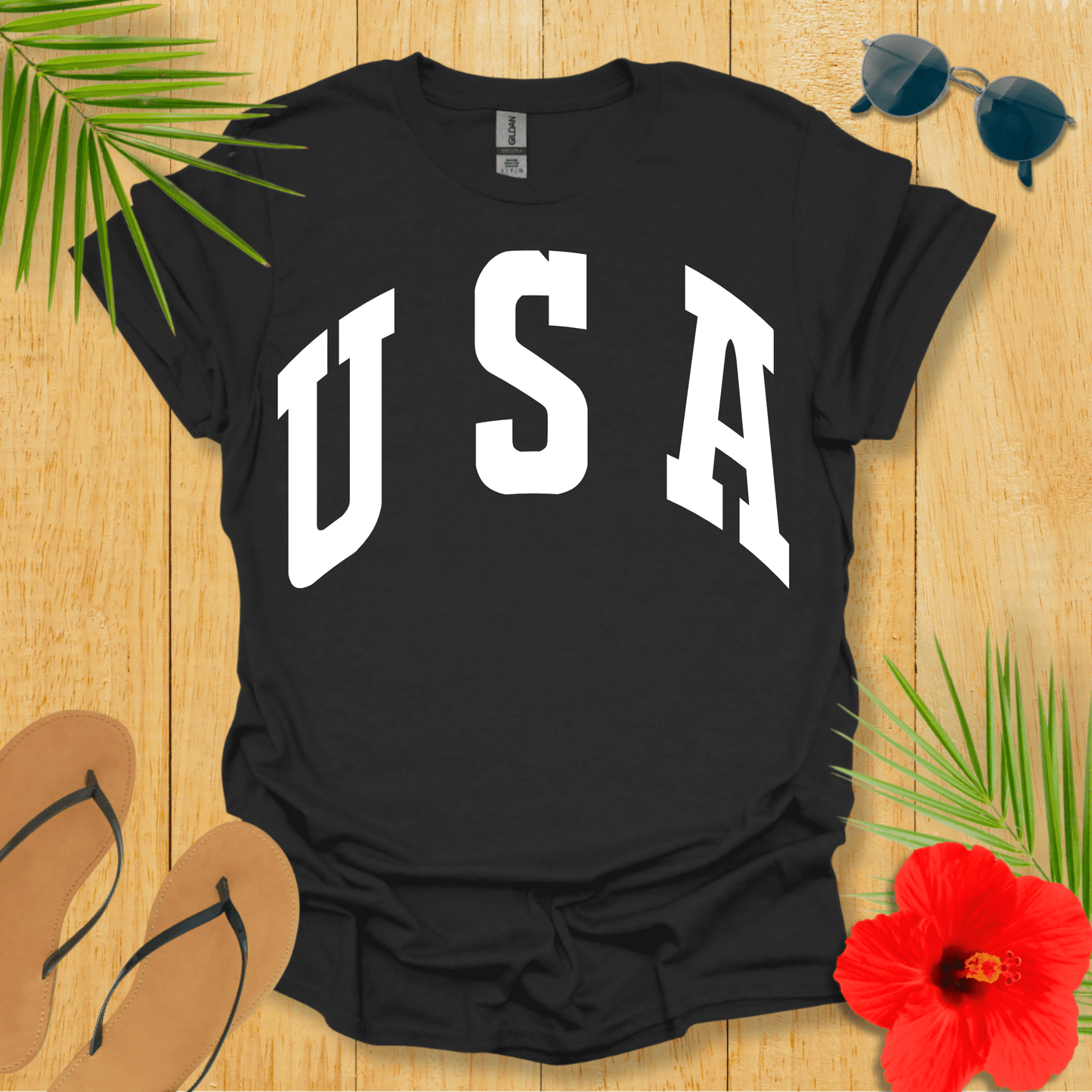 Plain USA T-Shirt