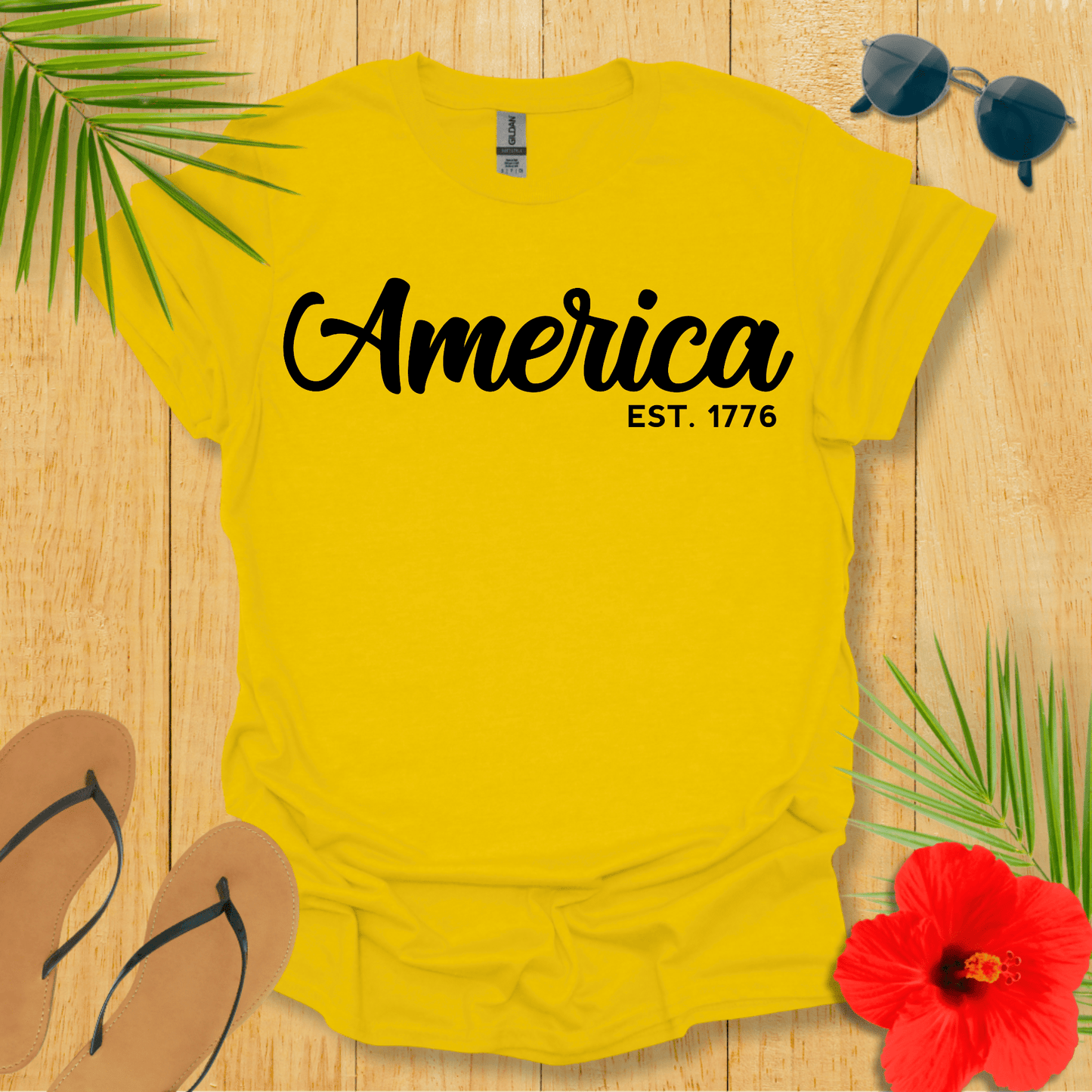 America 1776 T-Shirt