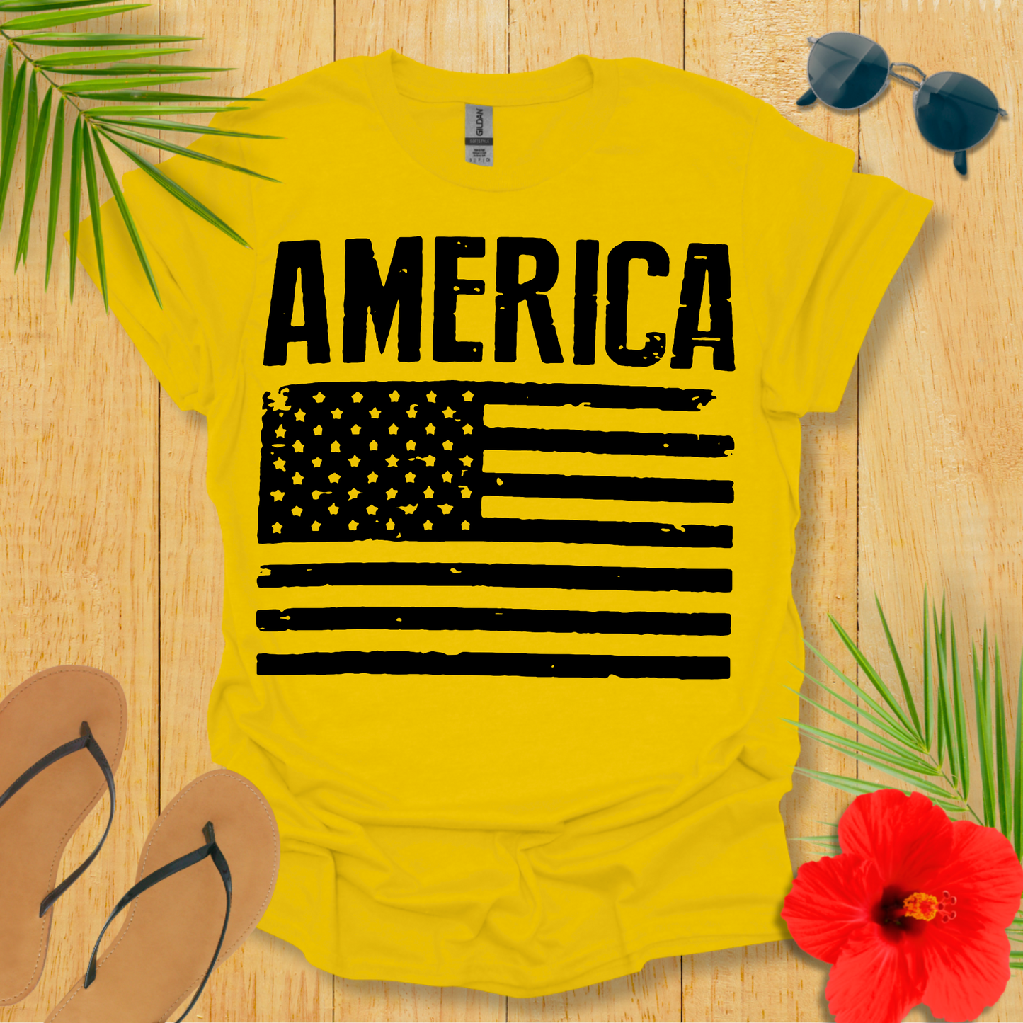 America With Flag T-Shirt