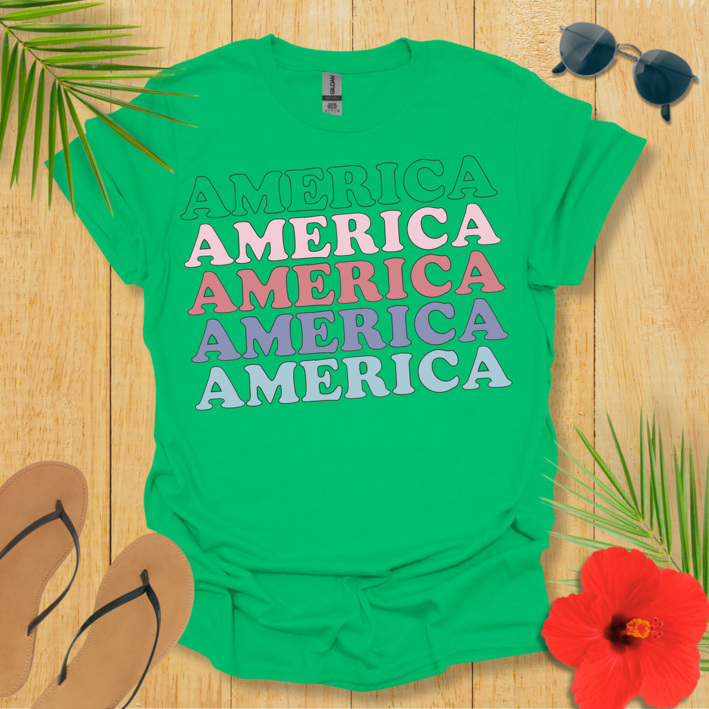 America 1 T-Shirt