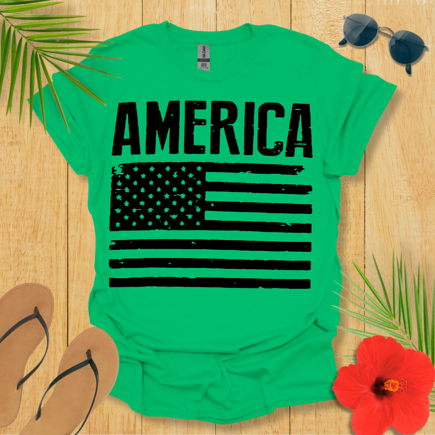 America With Flag T-Shirt