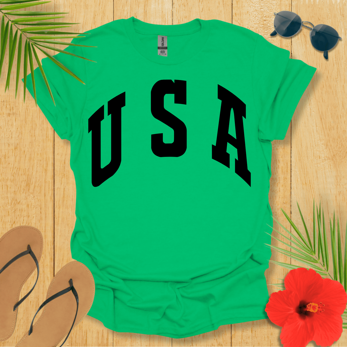 Plain USA T-Shirt