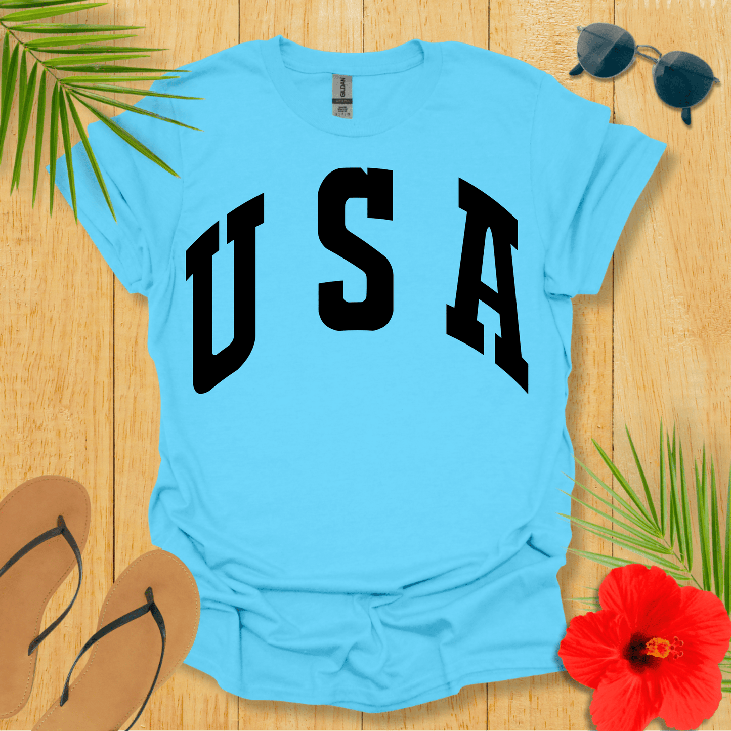 Plain USA T-Shirt