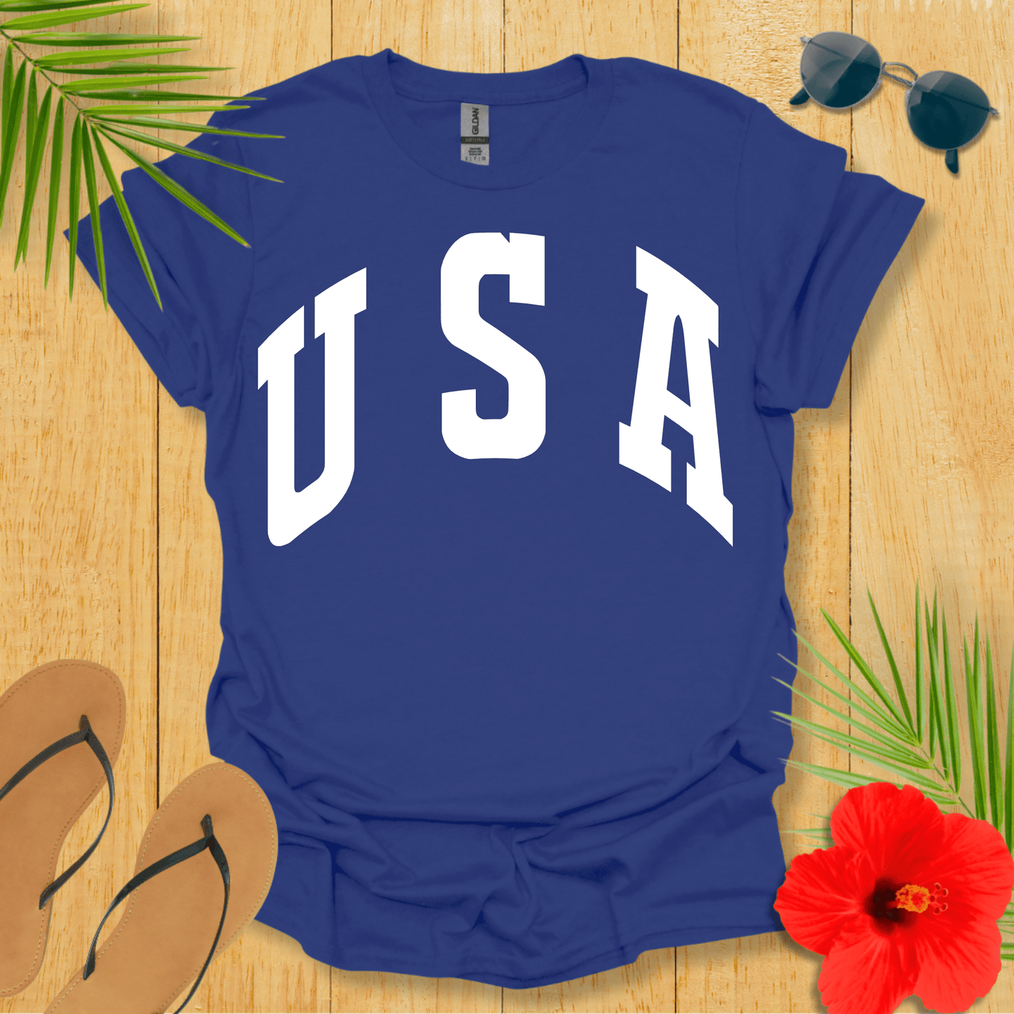 Plain USA T-Shirt